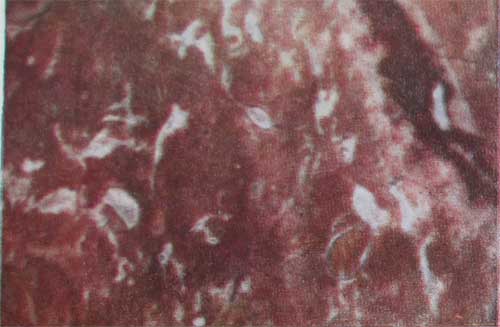 мрамор нижнетагильский