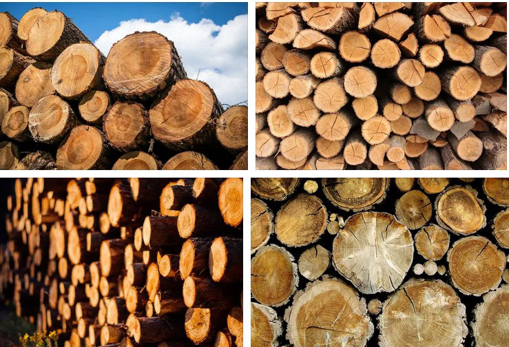 как влажность изменяет другие свойства древесины