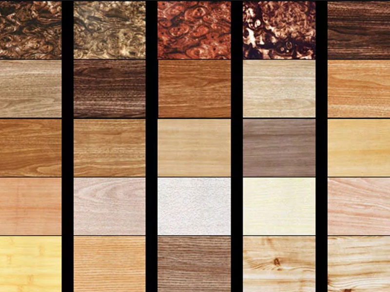 основные породы древесины
