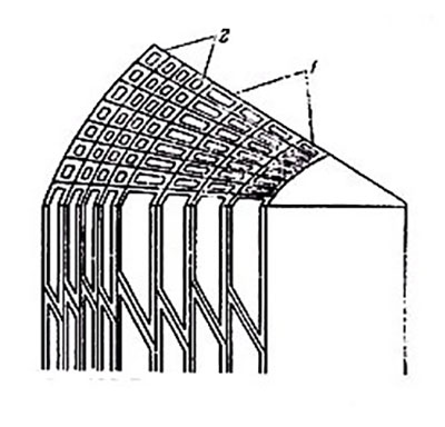 структура древесины разных пород